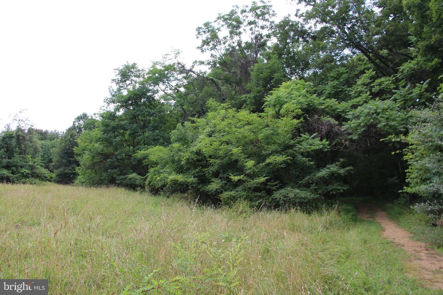 Habron Hollow Rd Property Photo 2