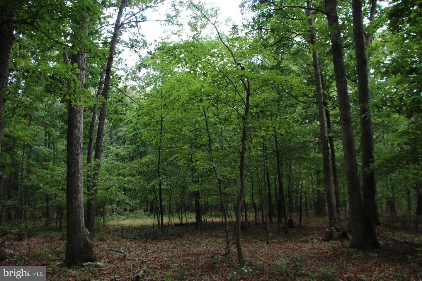 Habron Hollow Rd Property Photo 3