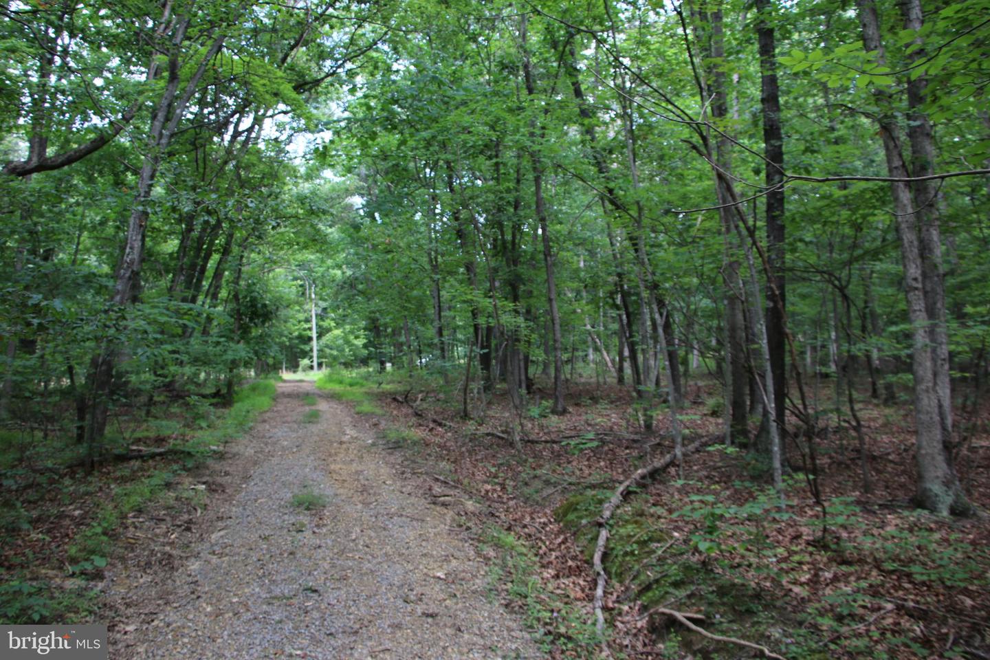 Habron Hollow Rd Property Photo 4