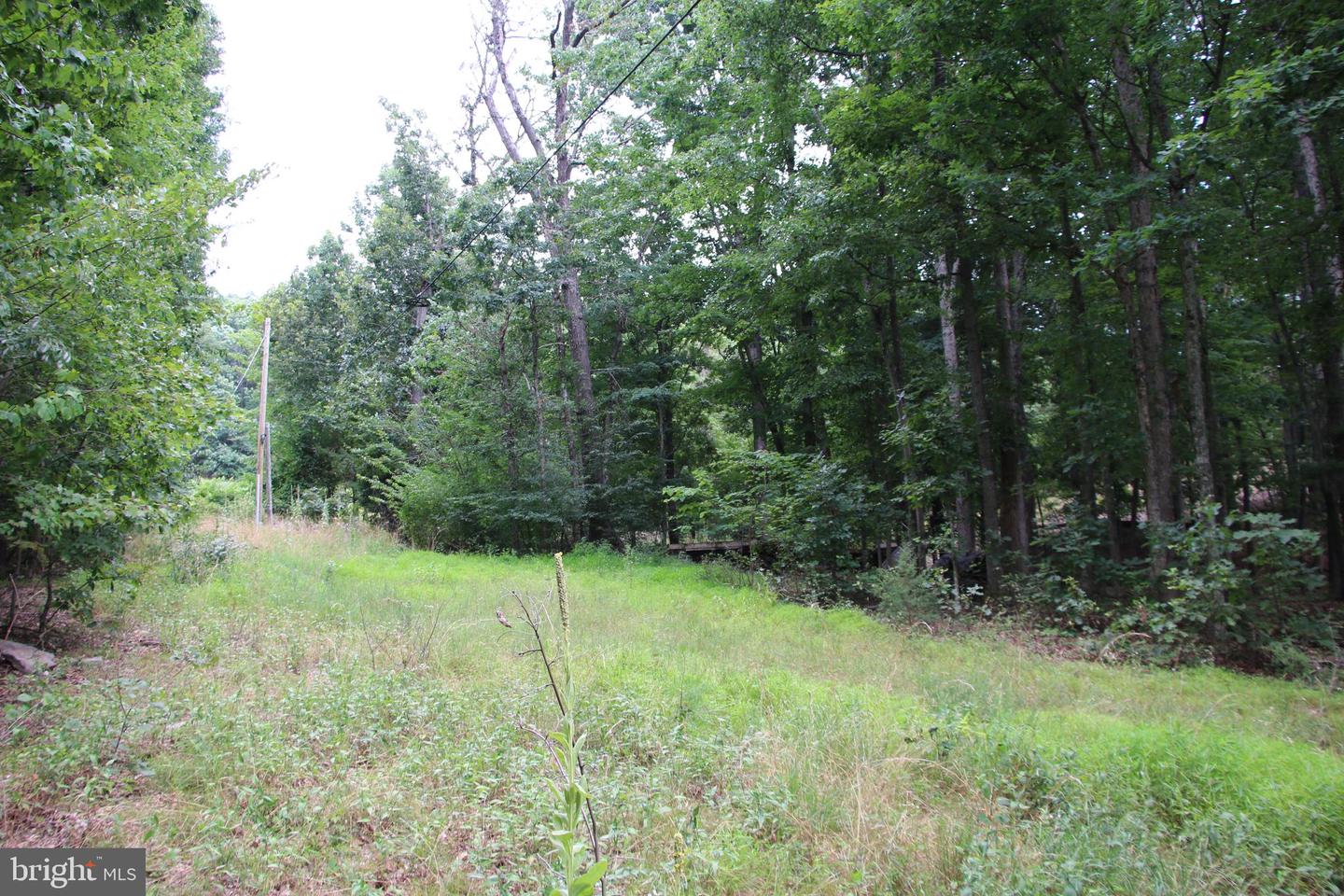 Habron Hollow Rd Property Photo 5