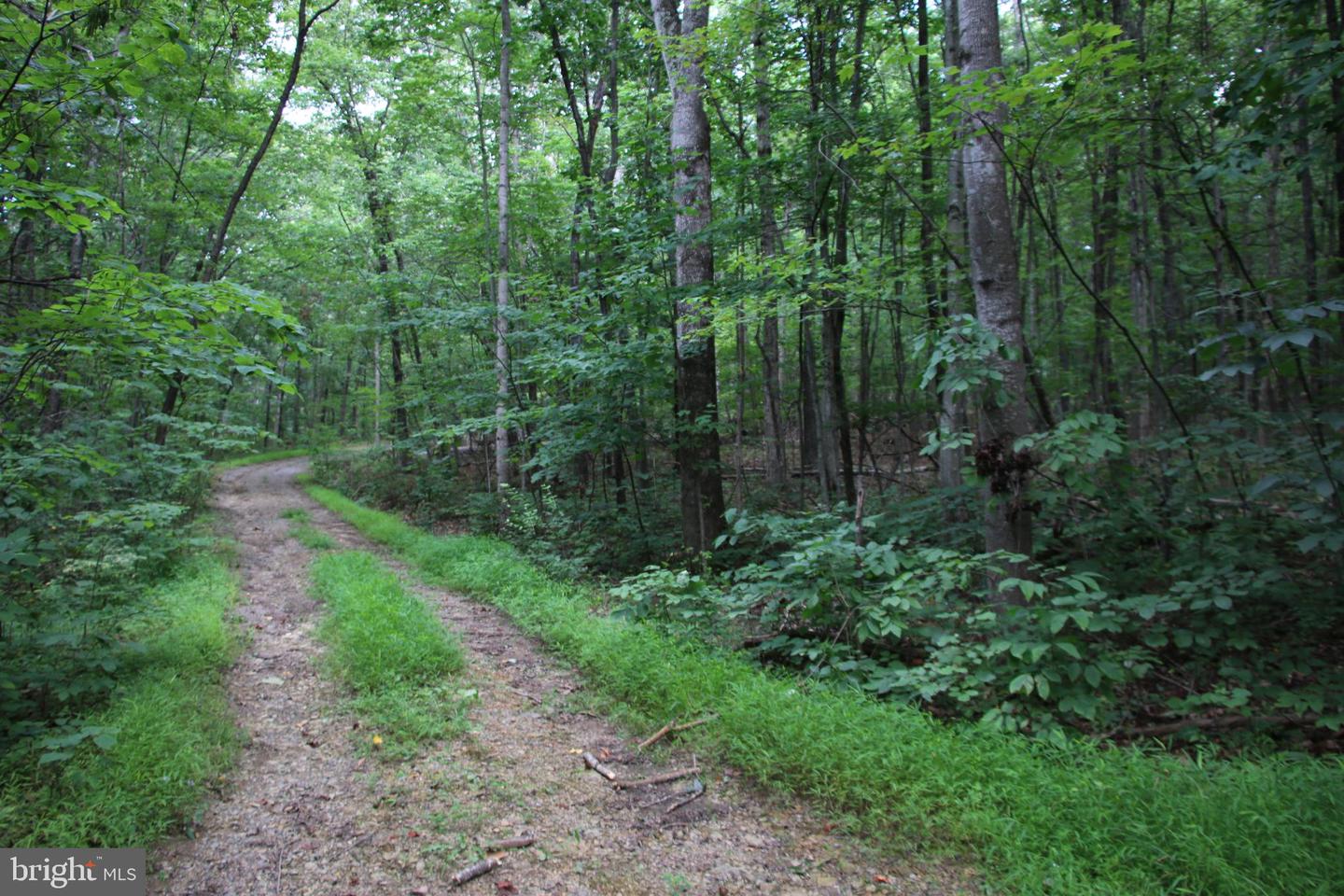 Habron Hollow Rd Property Photo 6