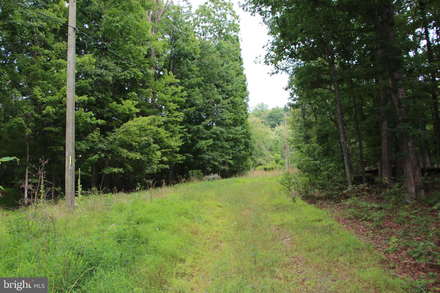 Habron Hollow Rd Property Photo 7