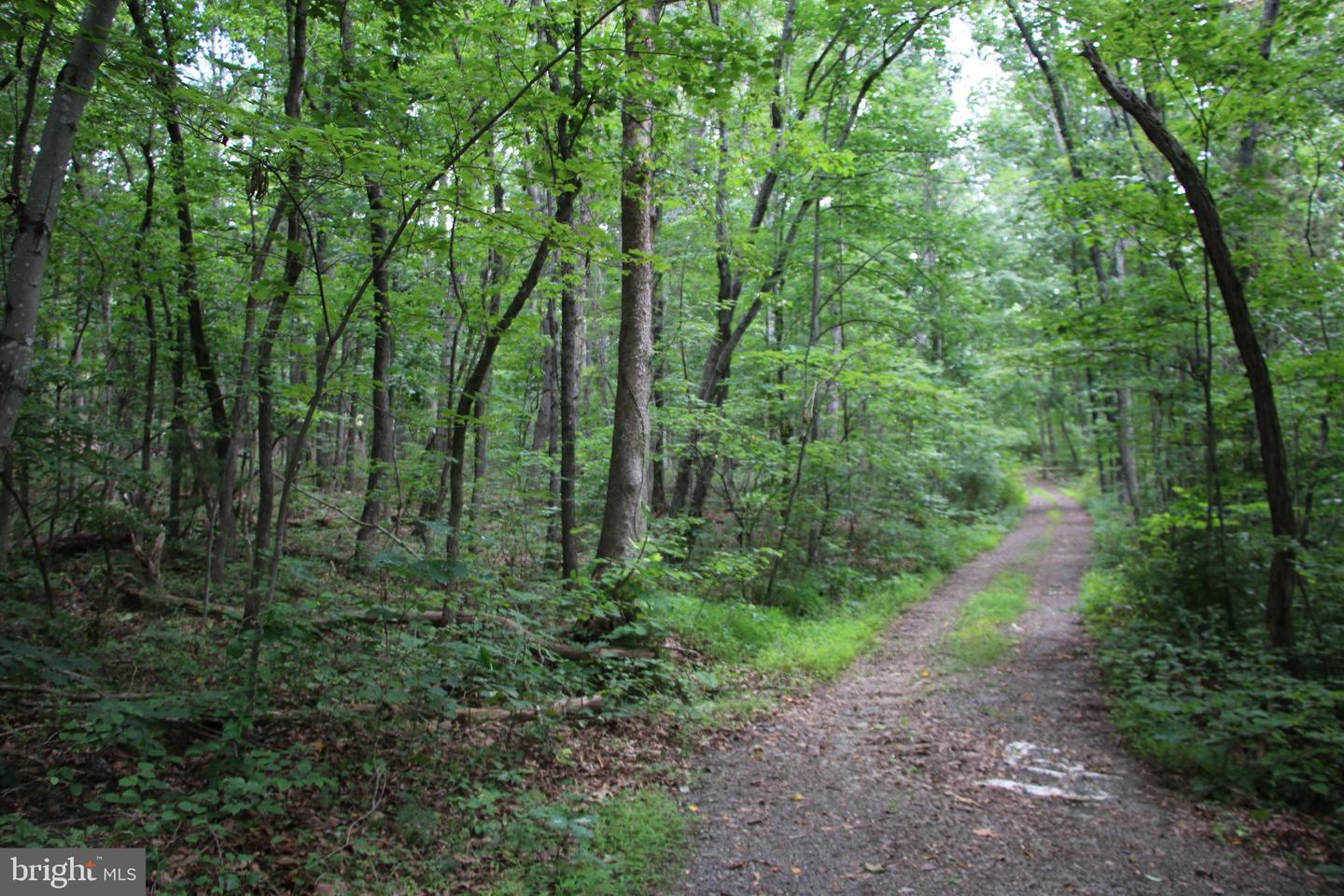Habron Hollow Rd Property Photo 8