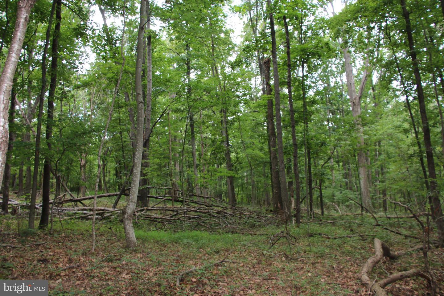 Habron Hollow Rd Property Photo 9