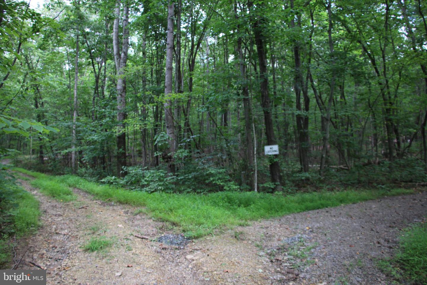 Habron Hollow Rd Property Photo 10