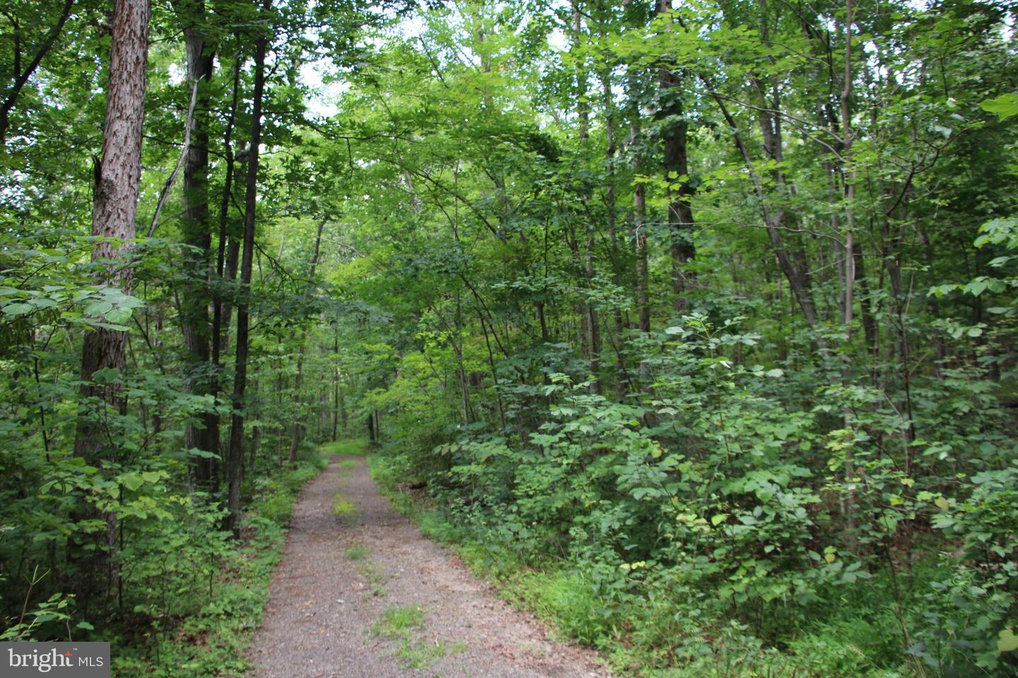 Habron Hollow Rd Property Photo 11