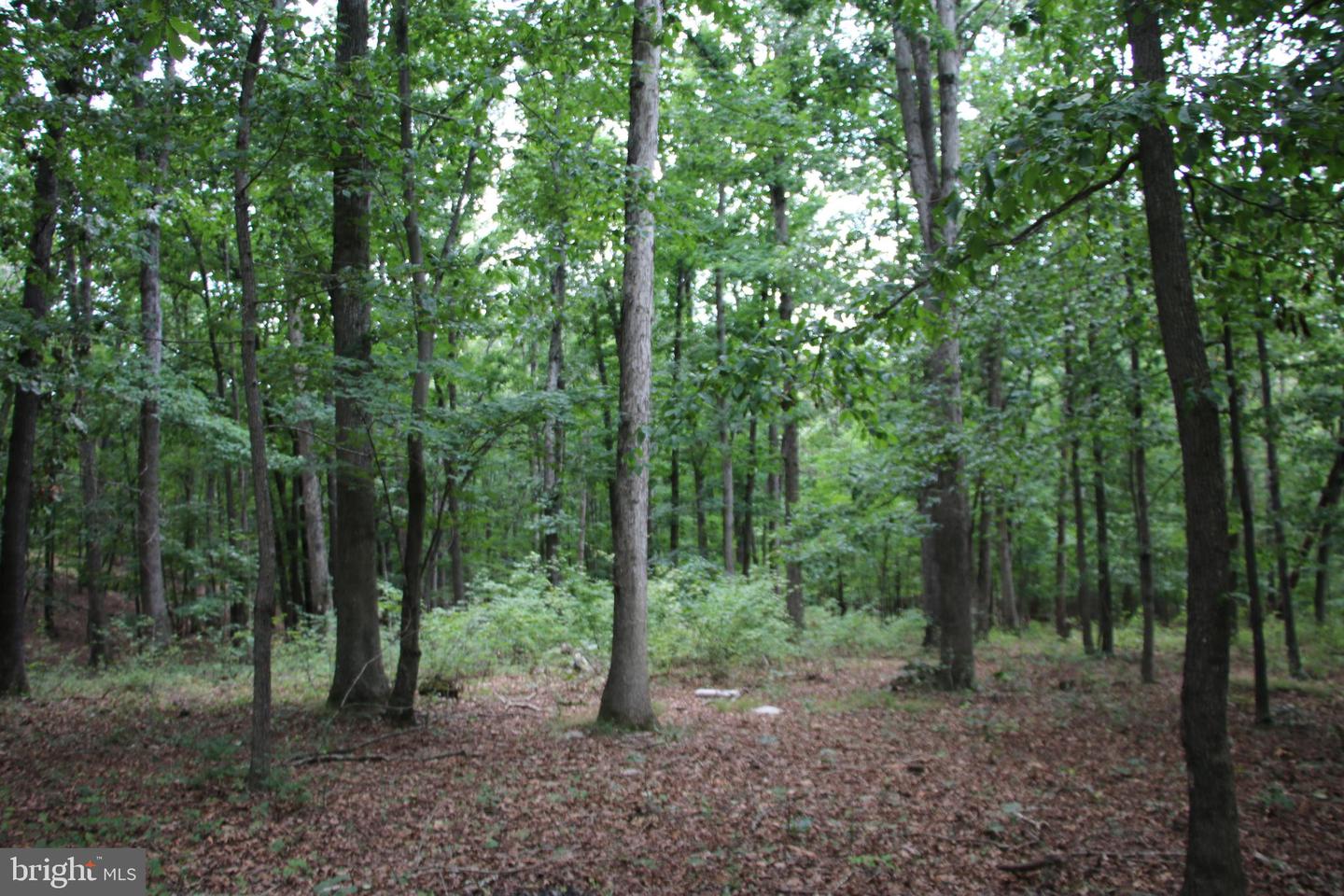 Habron Hollow Rd Property Photo 12