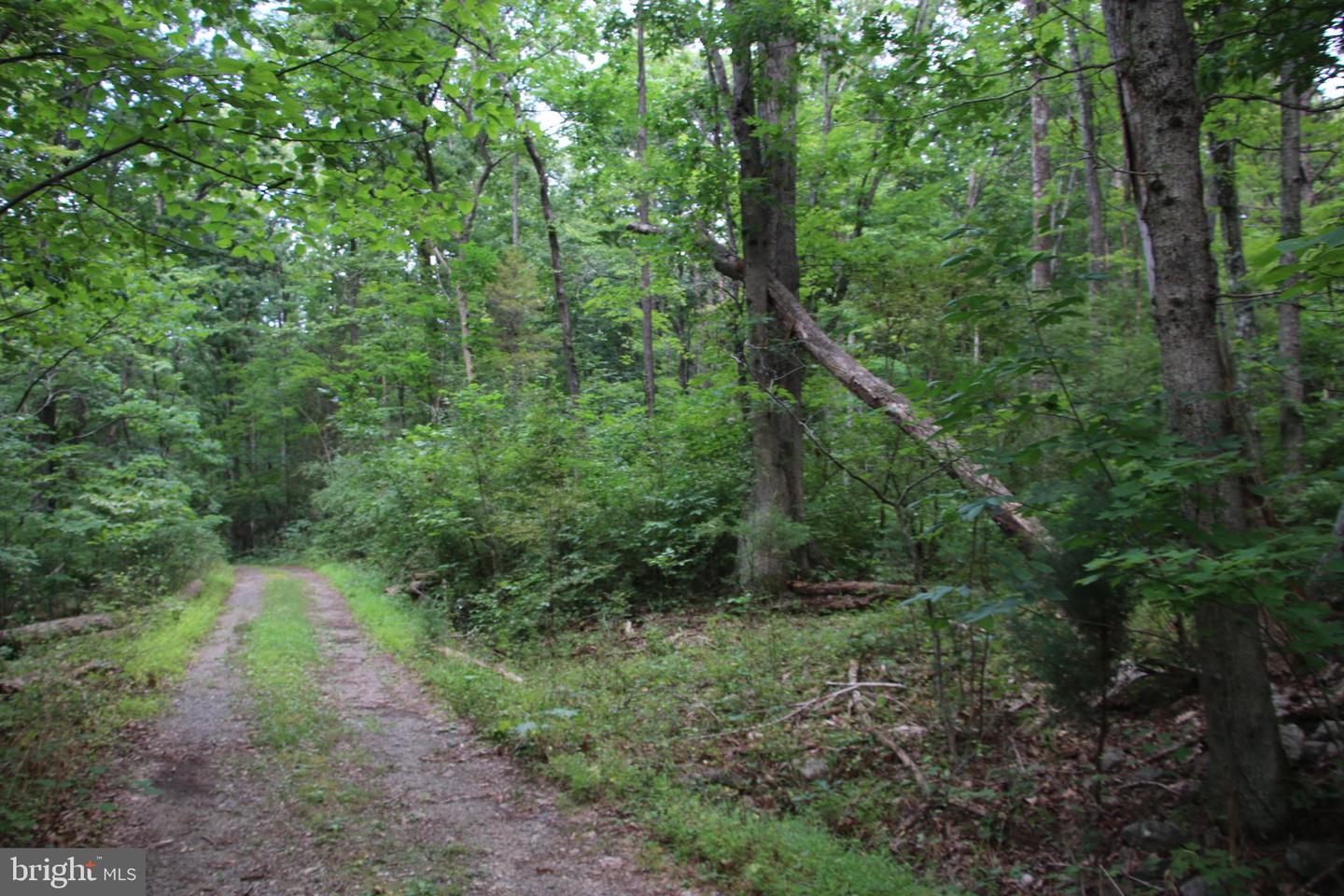 Habron Hollow Rd Property Photo 13