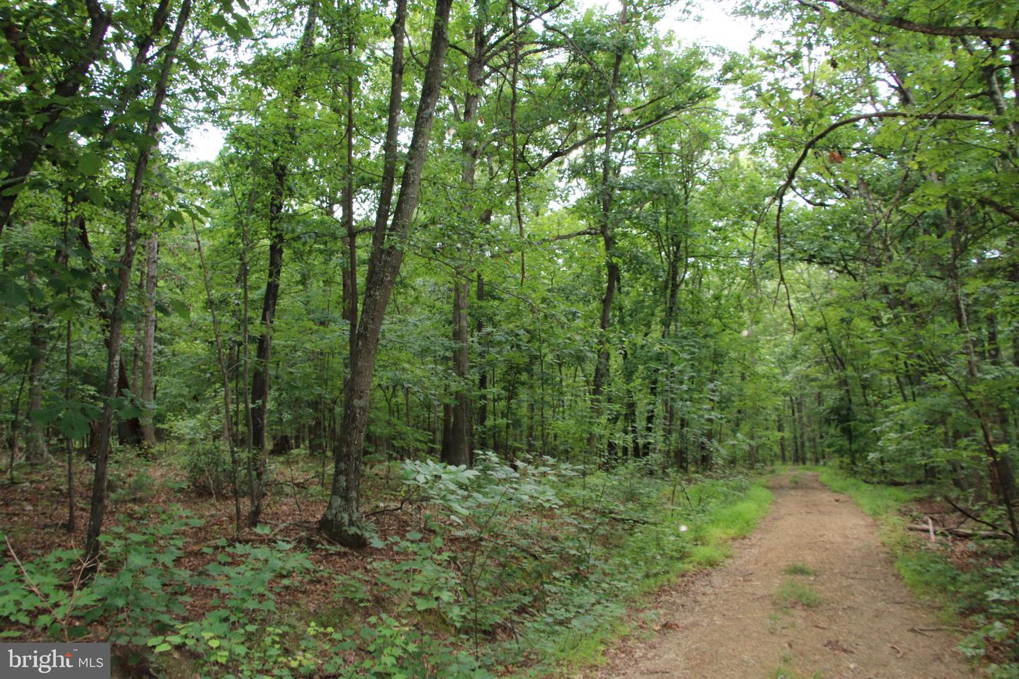 Habron Hollow Rd Property Photo 14