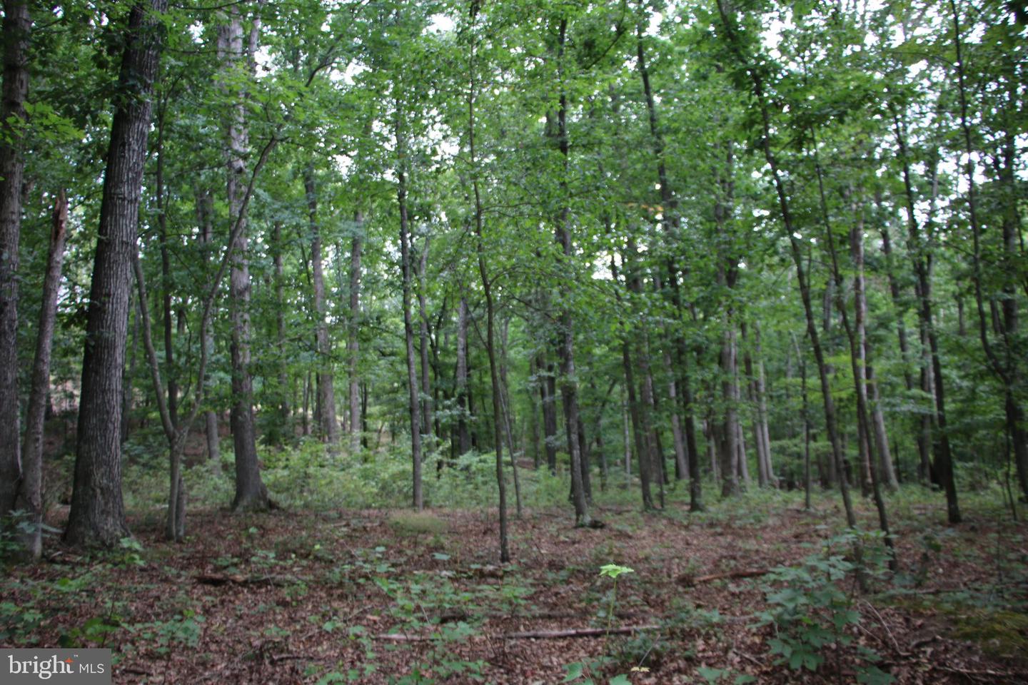Habron Hollow Rd Property Photo 15