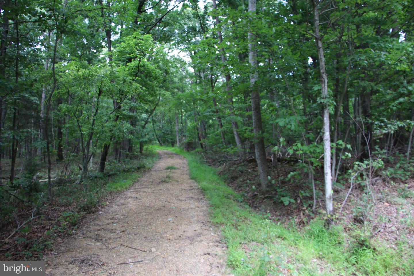 Habron Hollow Rd Property Photo 16