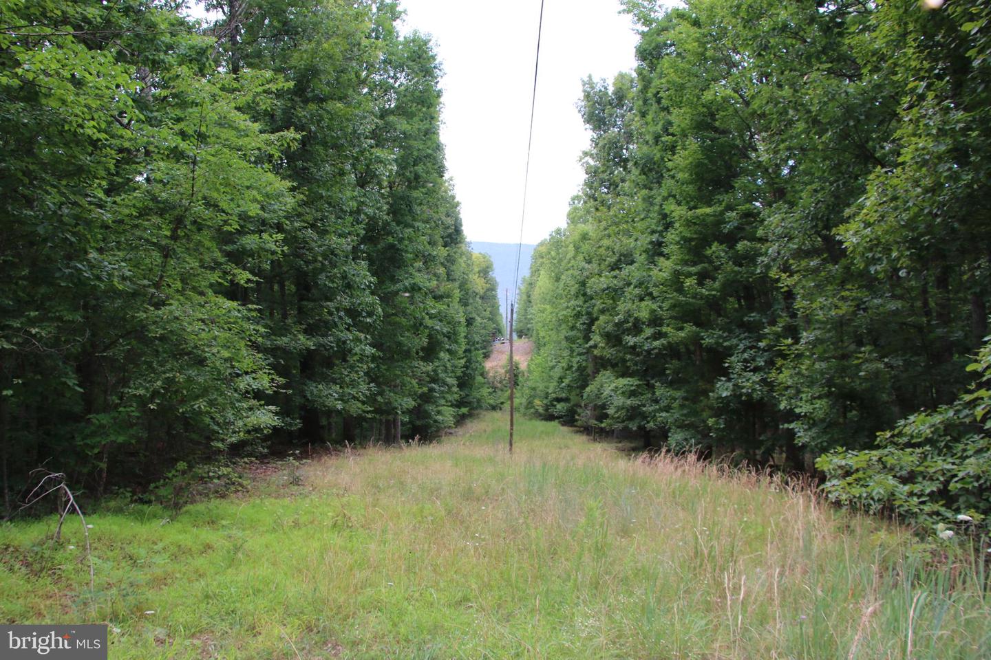 Habron Hollow Rd Property Photo 17