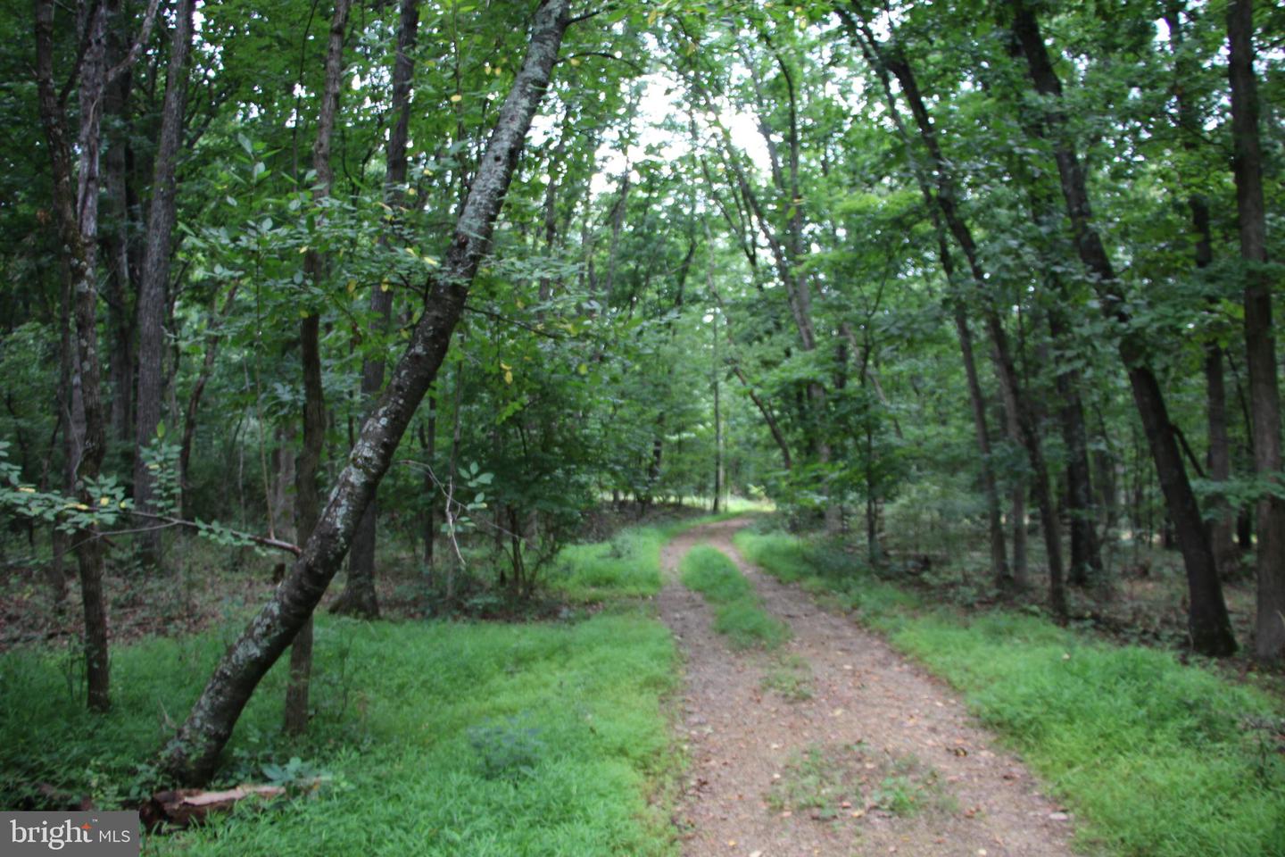 Habron Hollow Rd Property Photo 18