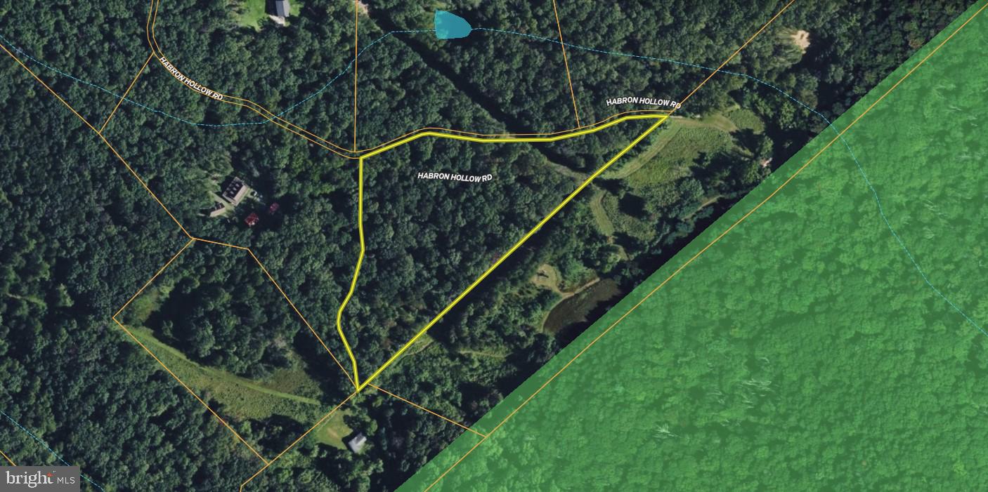 Habron Hollow Rd Property Photo 20