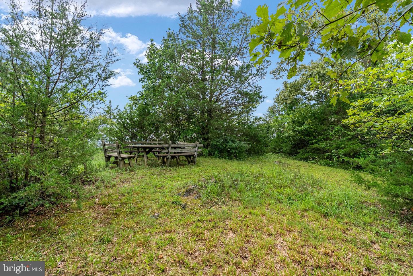 179 Quicksburg Mill Ln Property Photo 115