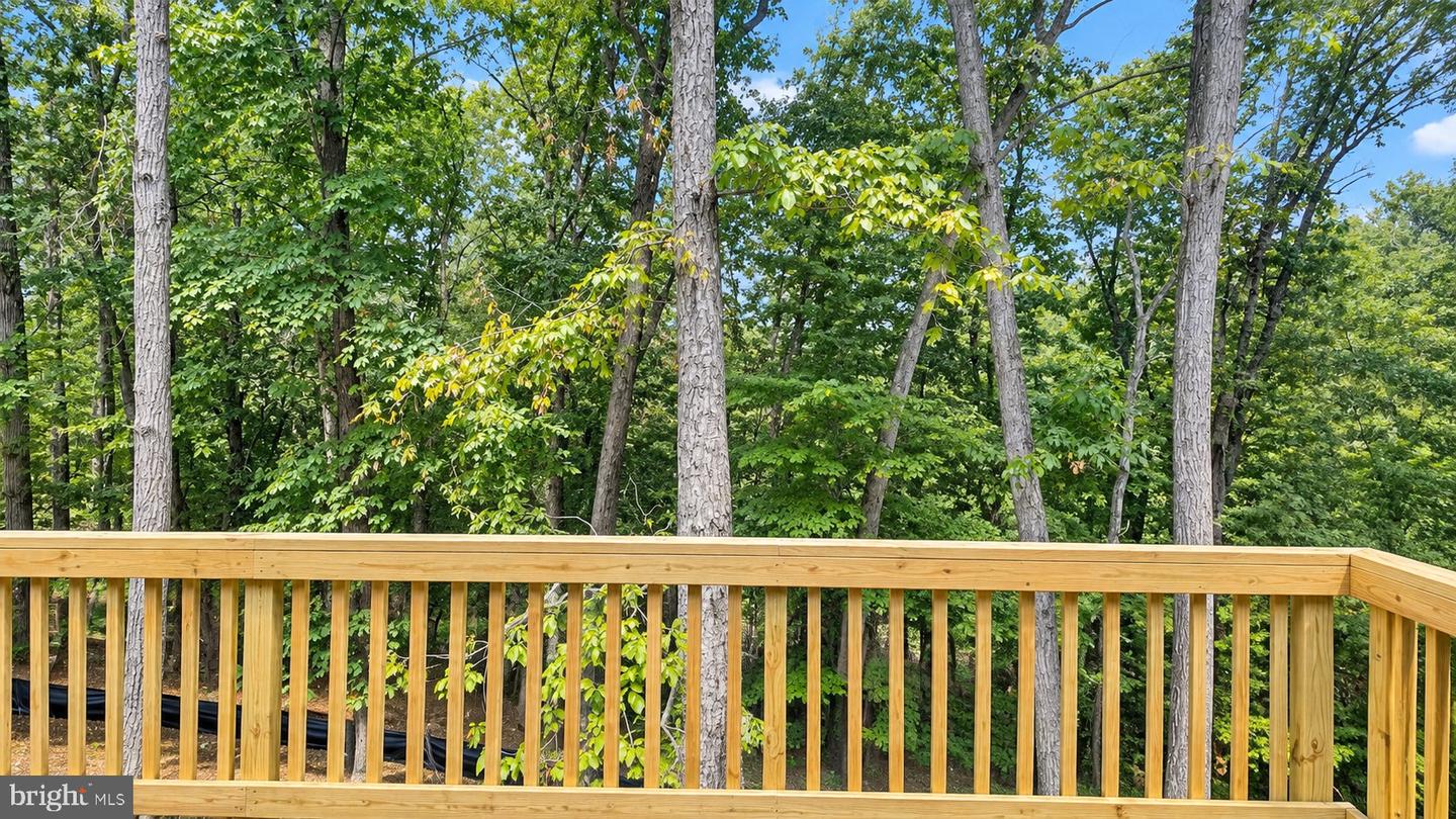 208 Creek Valley Dr Property Photo 6
