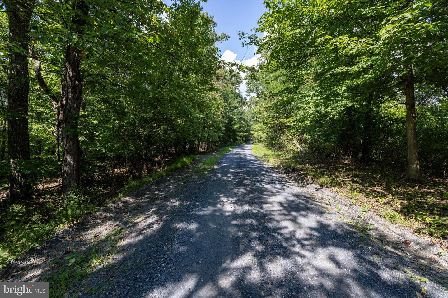 0 SUPINLICK RIDGE RD Property Photo 1