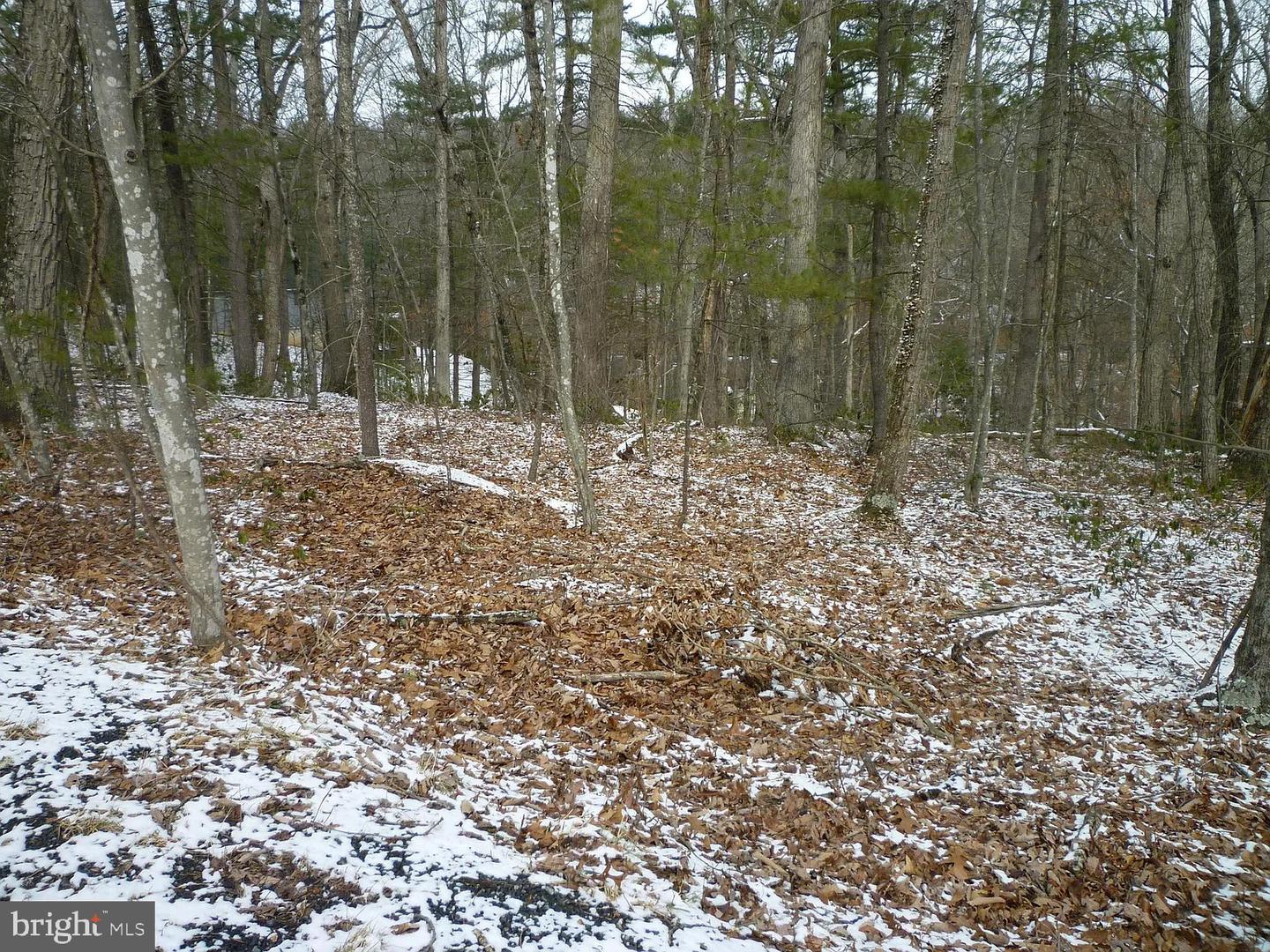 0 Brian Dr Property Photo 2