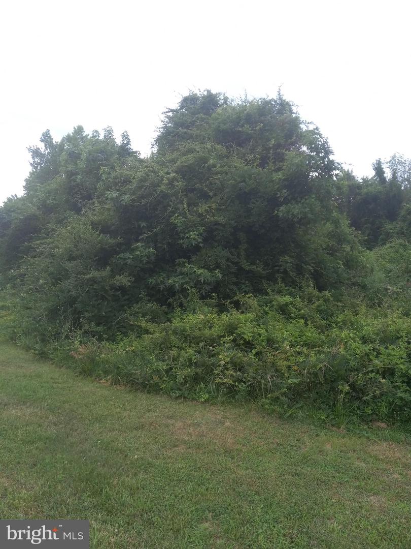 0 Lake Anna Parkway Lot 3 Property Photo 2