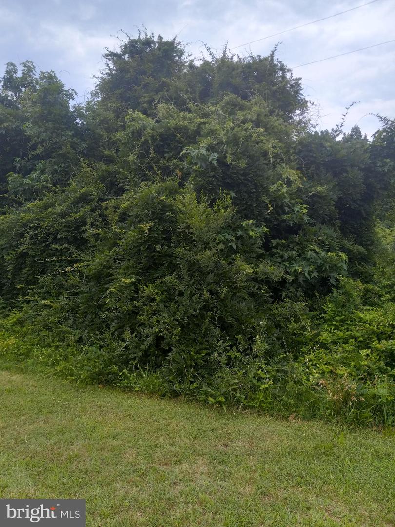 0 Lewis Estates Lane - Lot 5 Property Photo 1