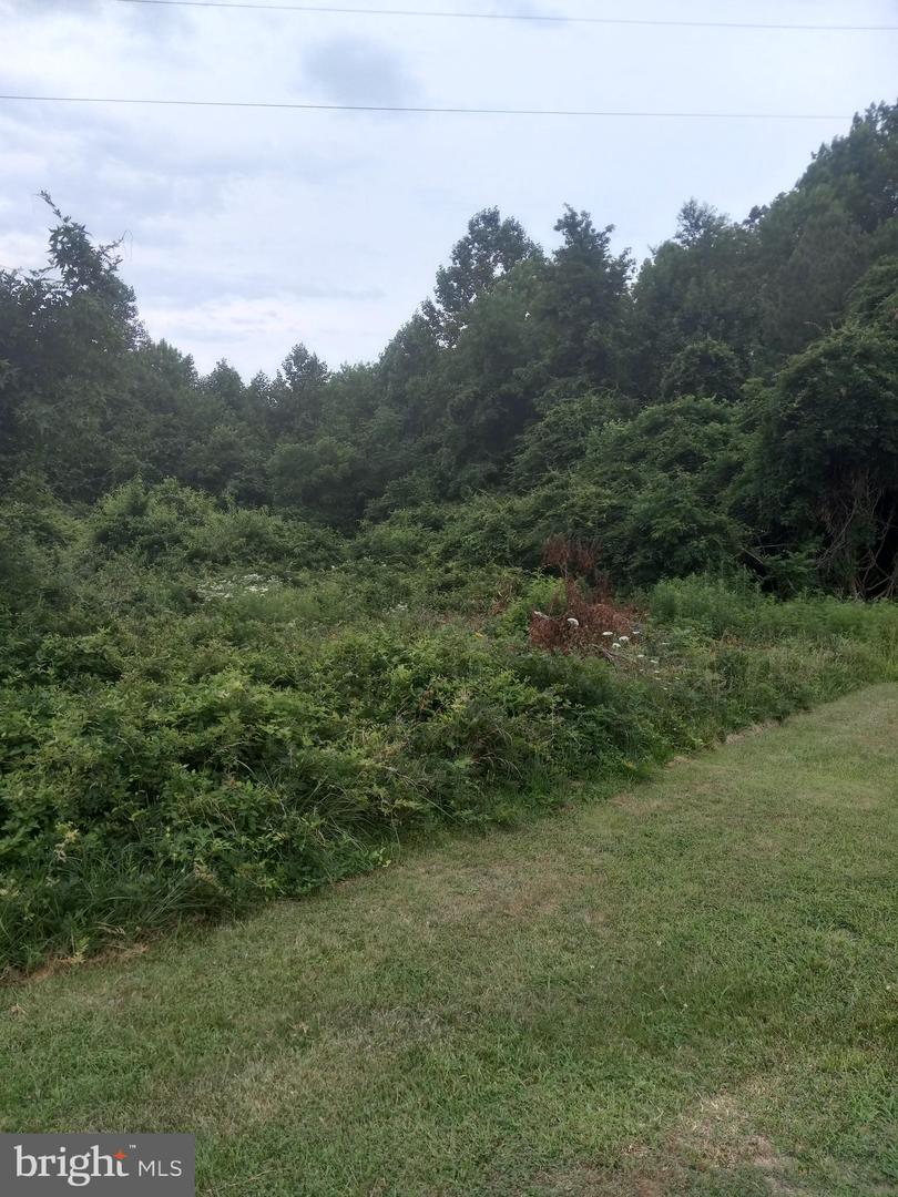 0 Lake Anna Parkway - Lot 5 Property Photo 2