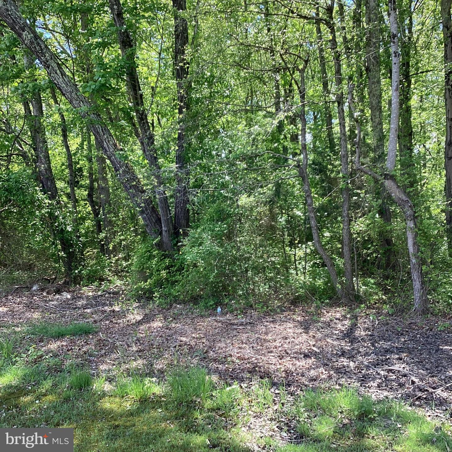 2127 Mount Olive Rd Property Photo
