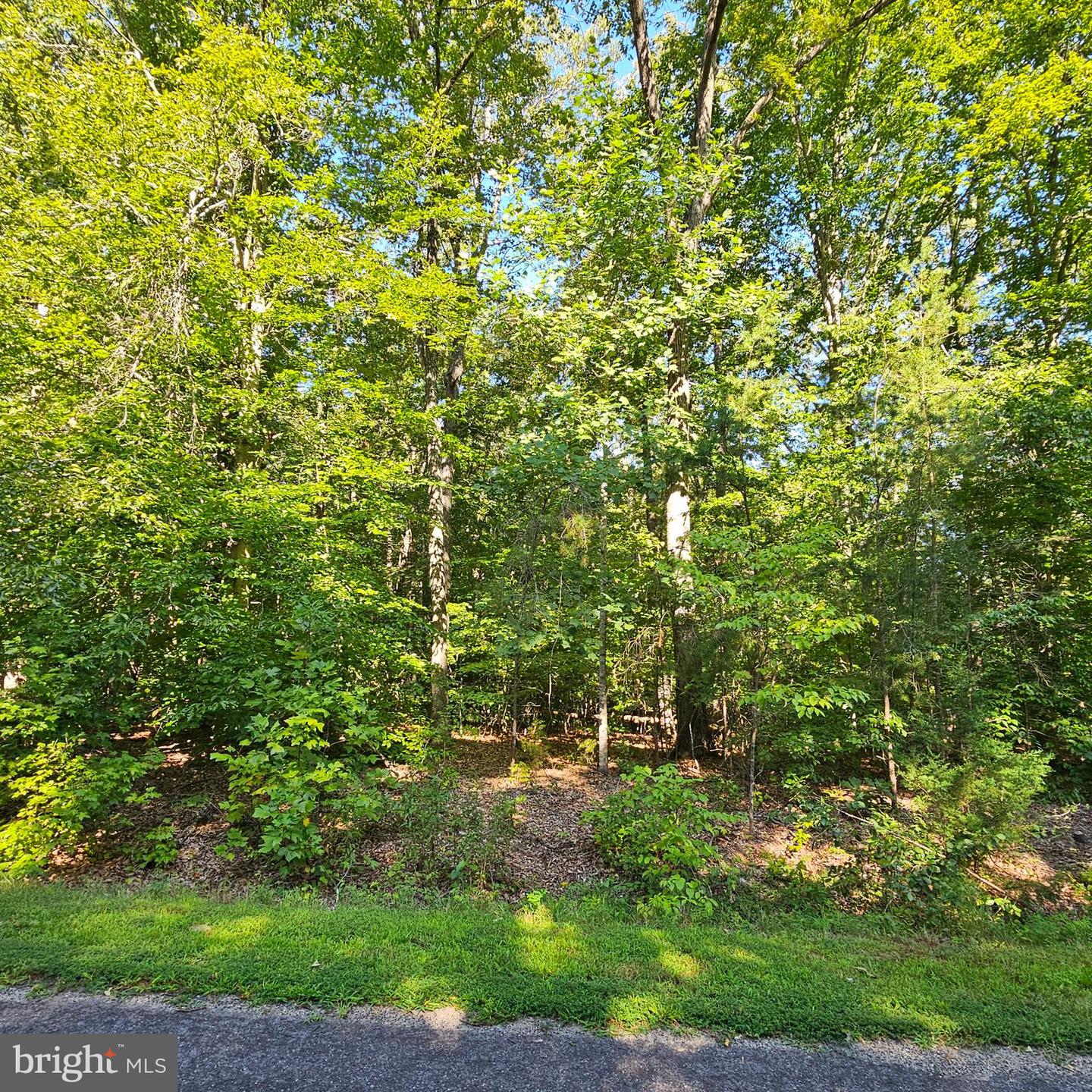 6200 Bills Rd Property Photo 23
