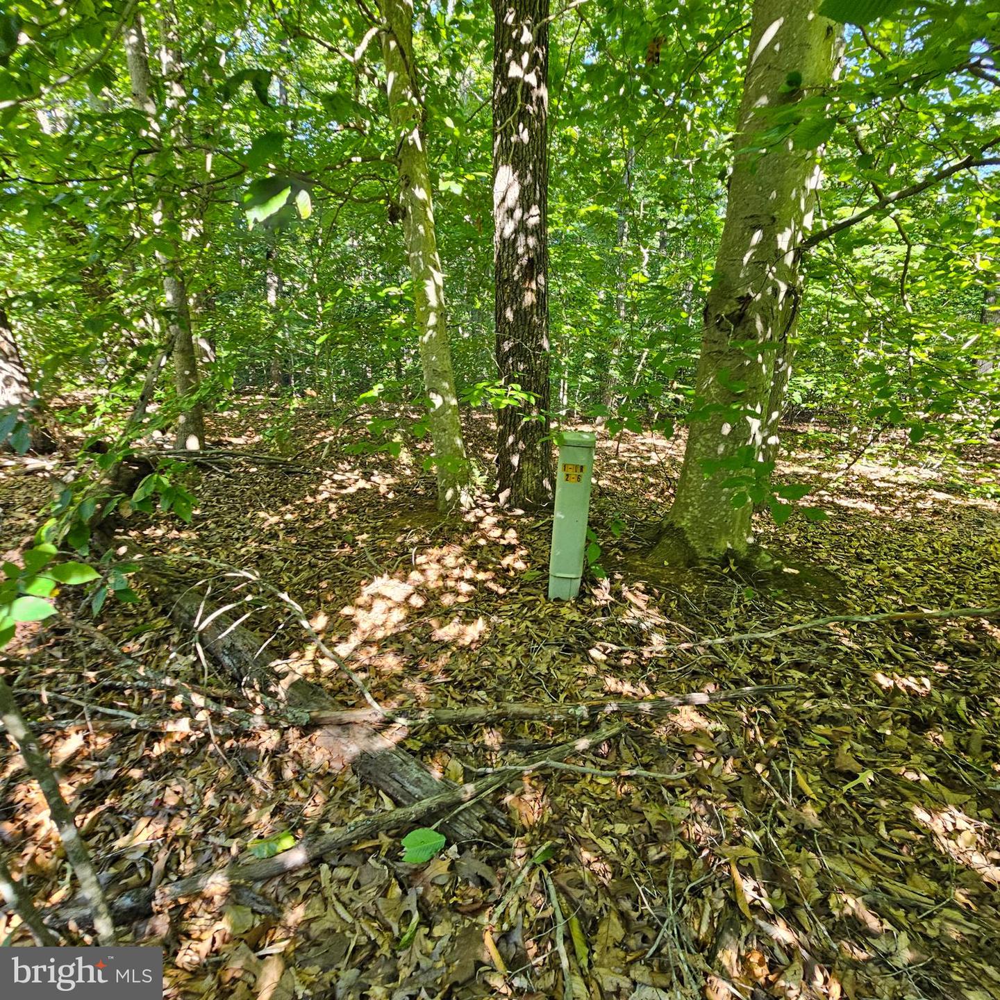 6200 Bills Rd Property Photo 24