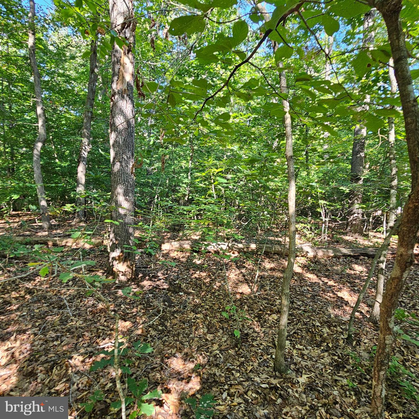 6200 Bills Rd Property Photo 25