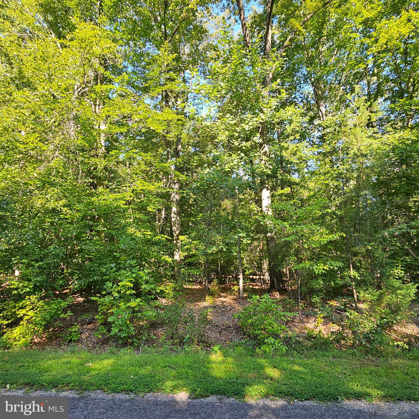 6200 Bills Rd Property Photo 27