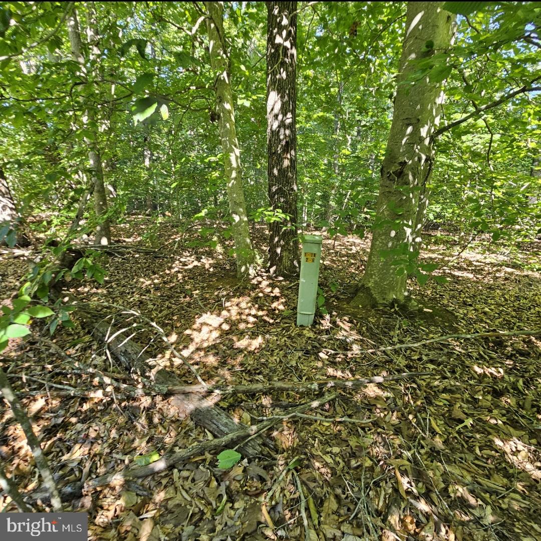 6202 Bills Rd Property Photo 21