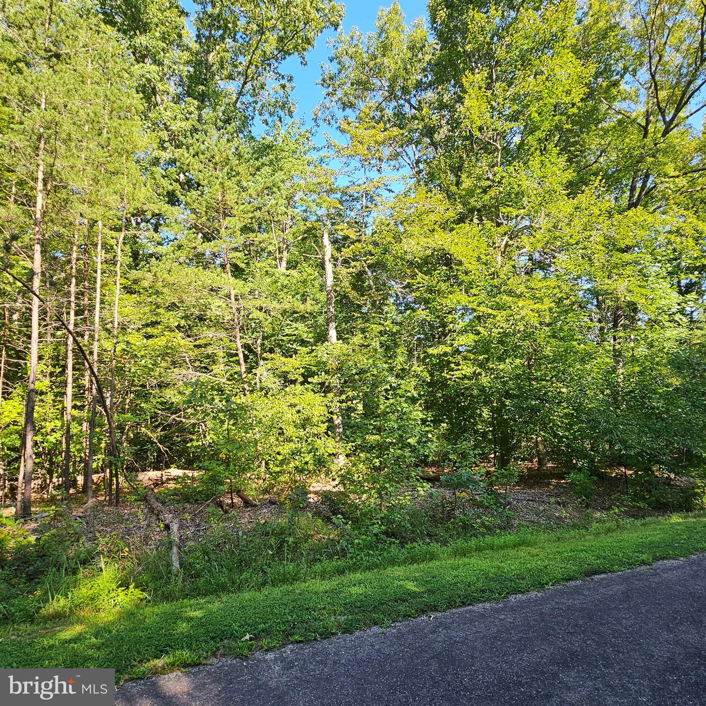 6202 Bills Rd Property Photo 22