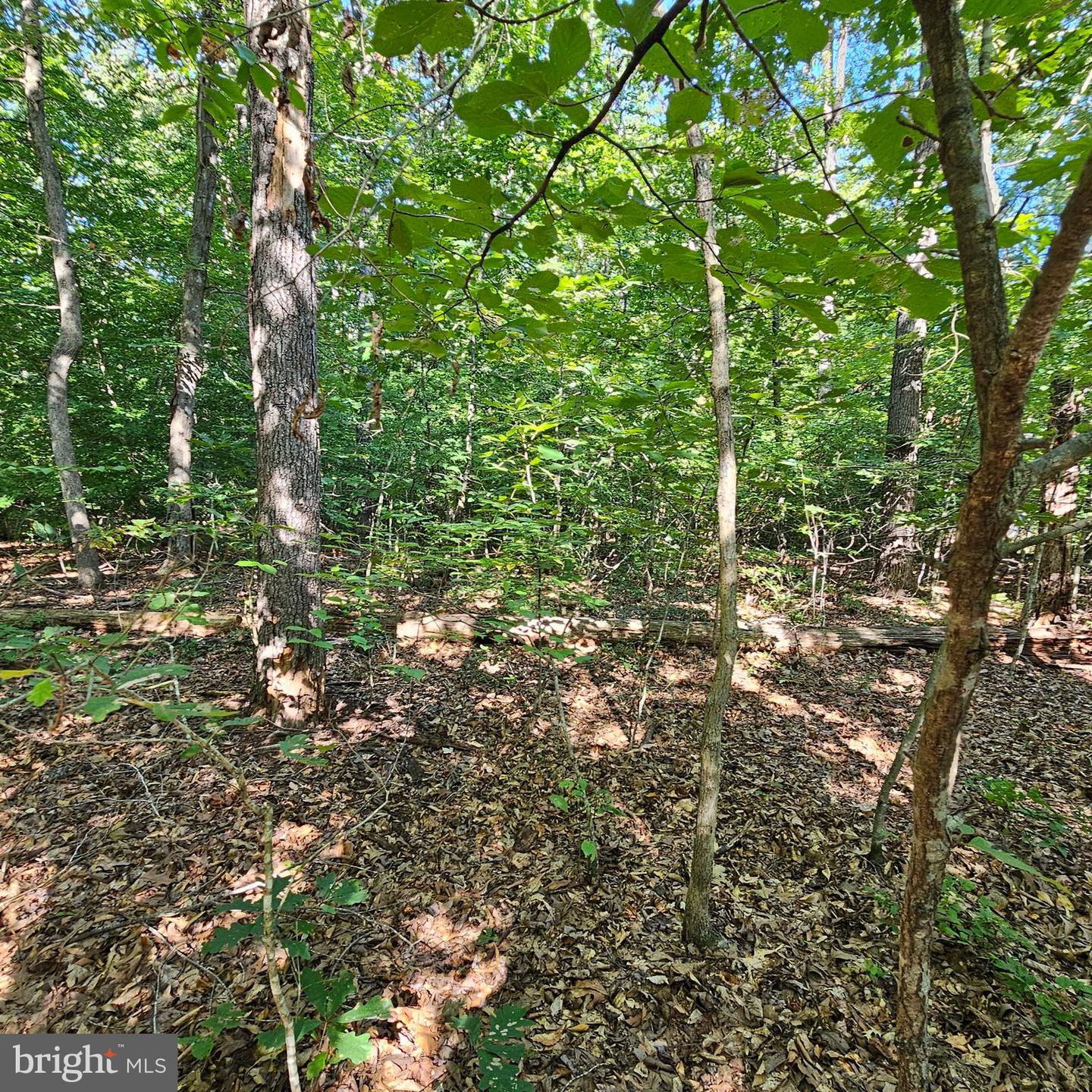 6202 Bills Rd Property Photo 23