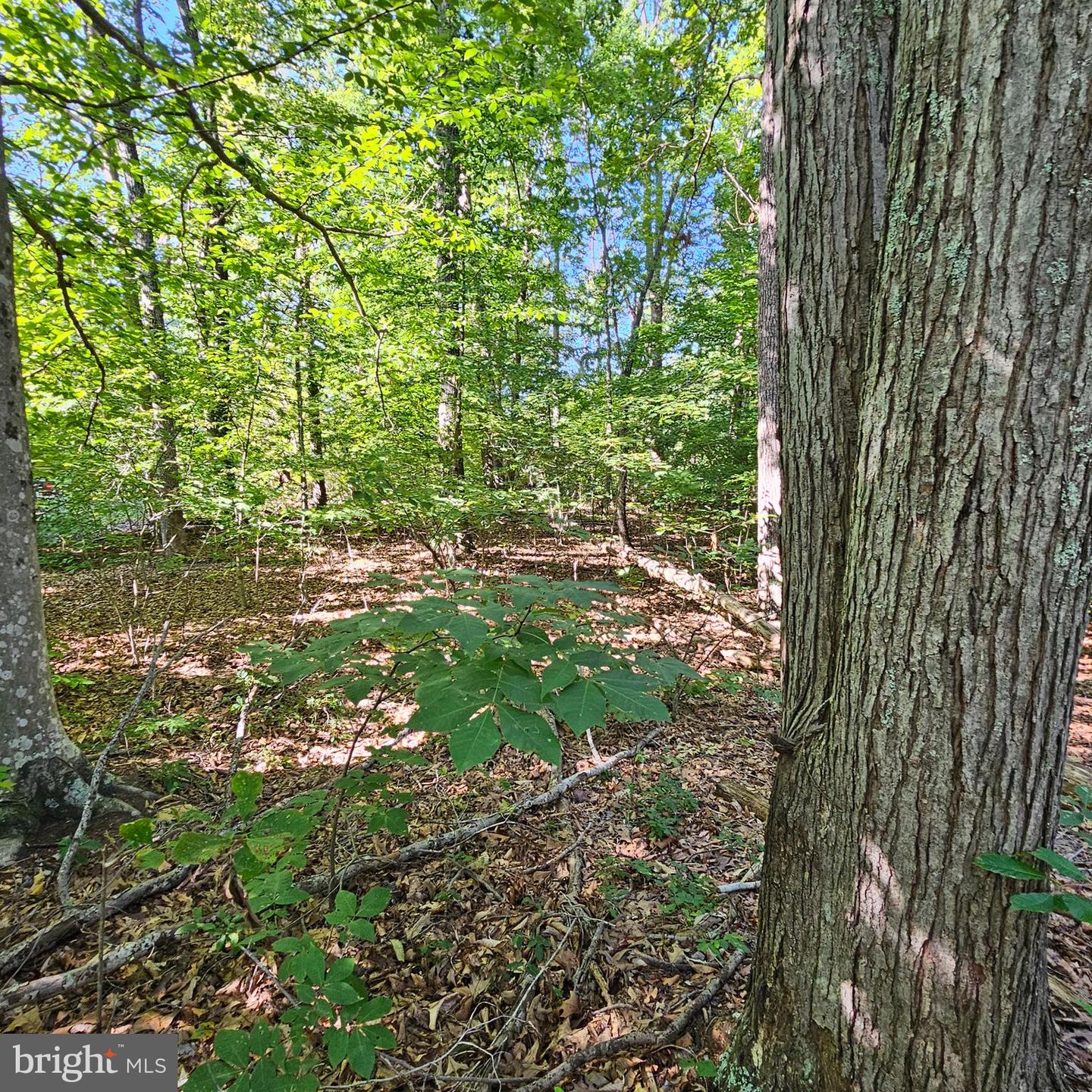 6202 Bills Rd Property Photo 24