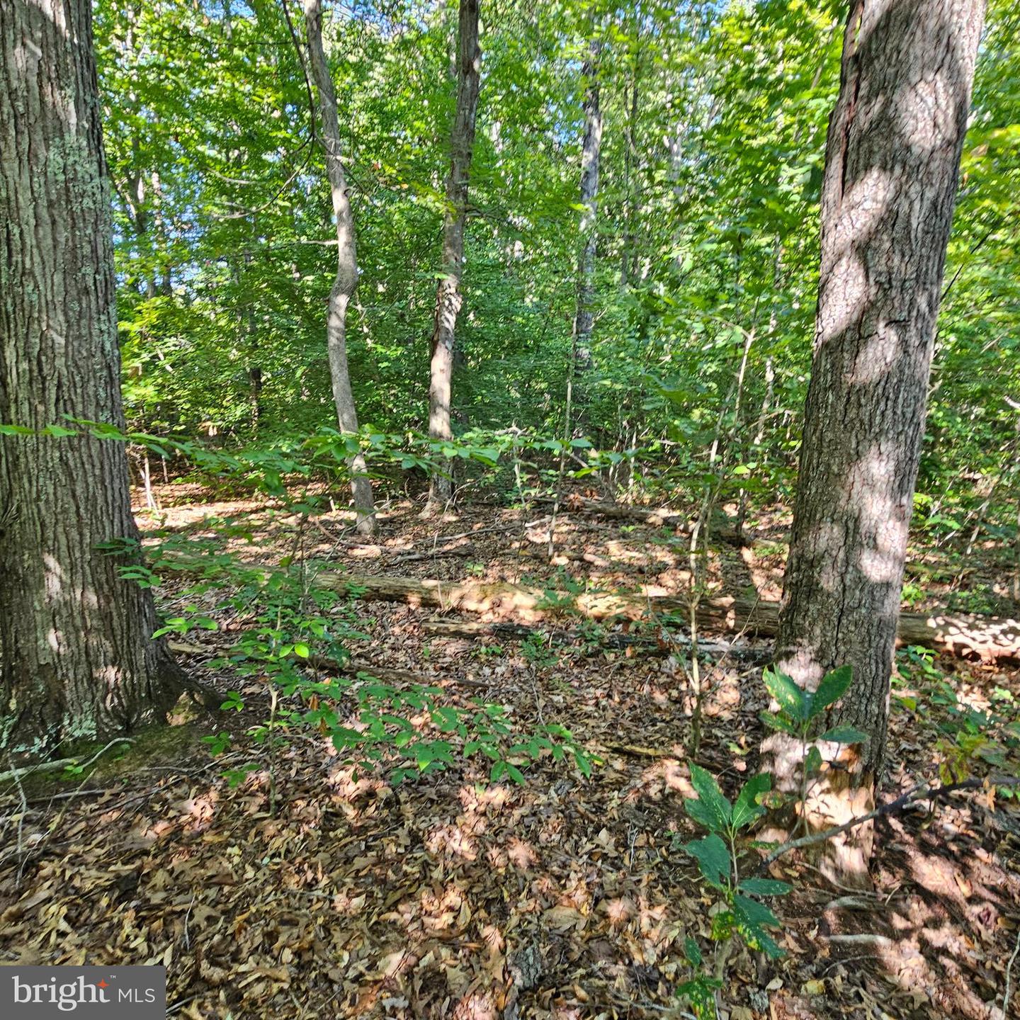 6202 Bills Rd Property Photo 25