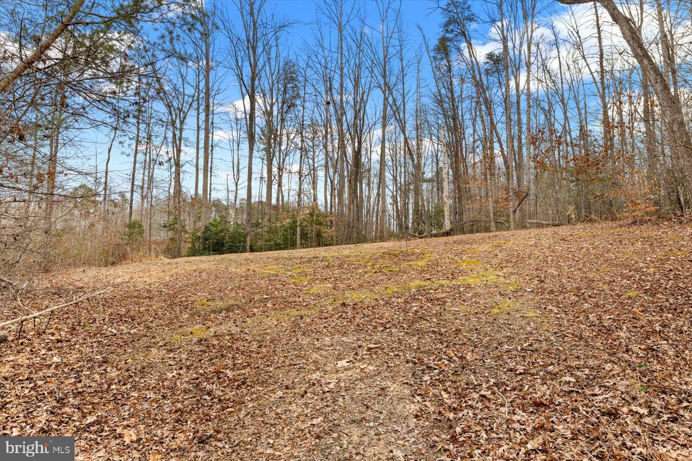 6330 Kleineidam Way Property Photo 46