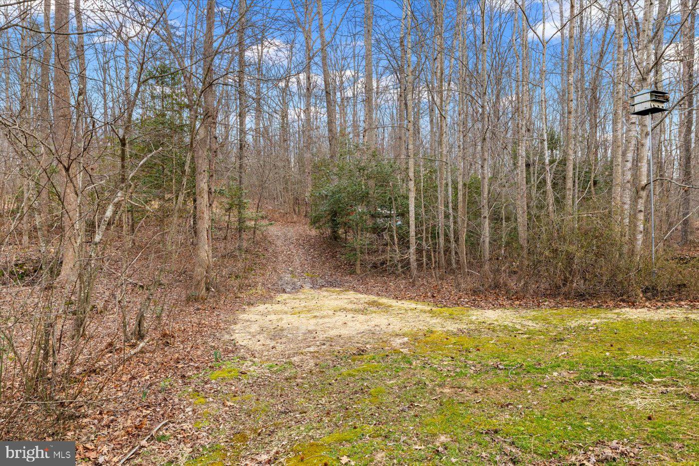 6330 Kleineidam Way Property Photo 61