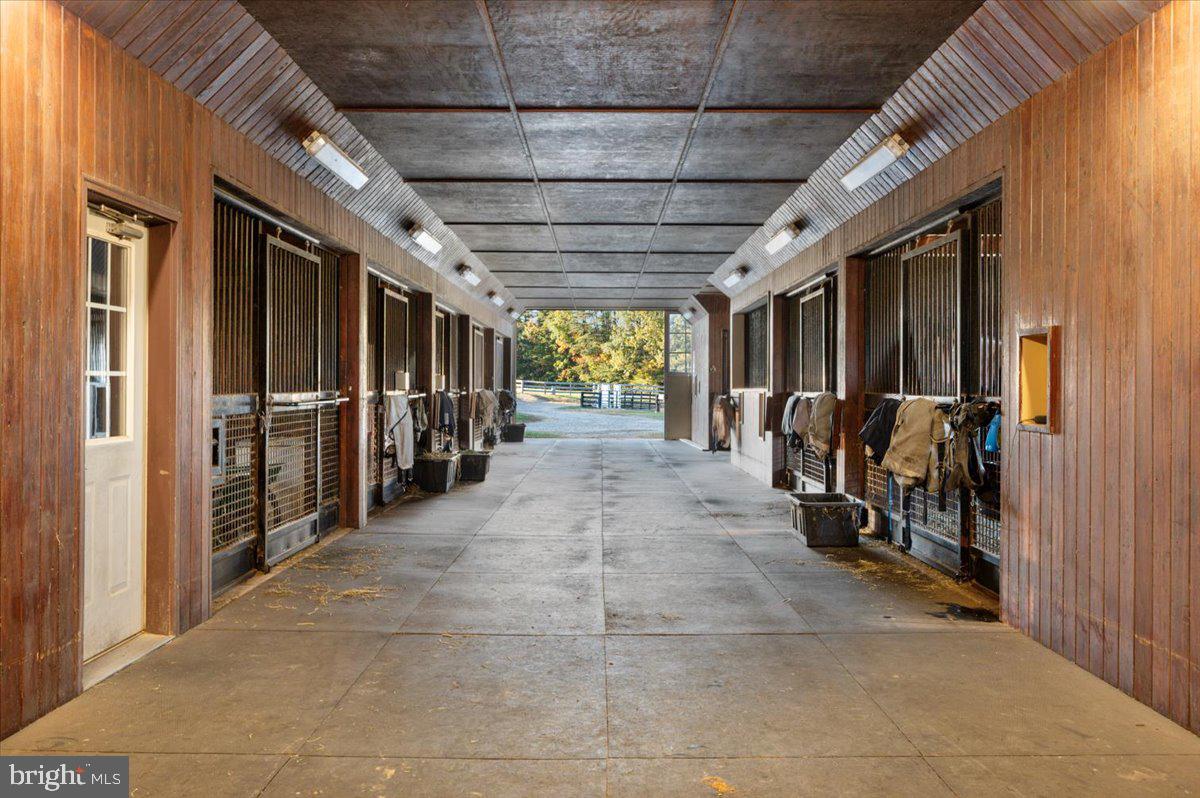 10413 Elys Ford Rd Property Photo 10