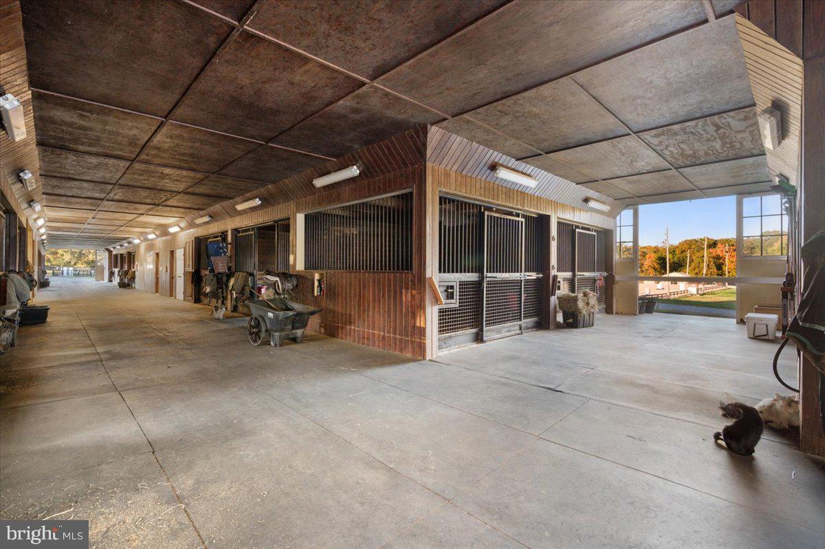 10413 Elys Ford Rd Property Photo 11
