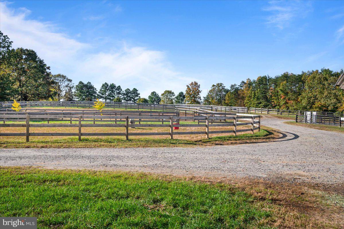 10413 Elys Ford Rd Property Photo 25