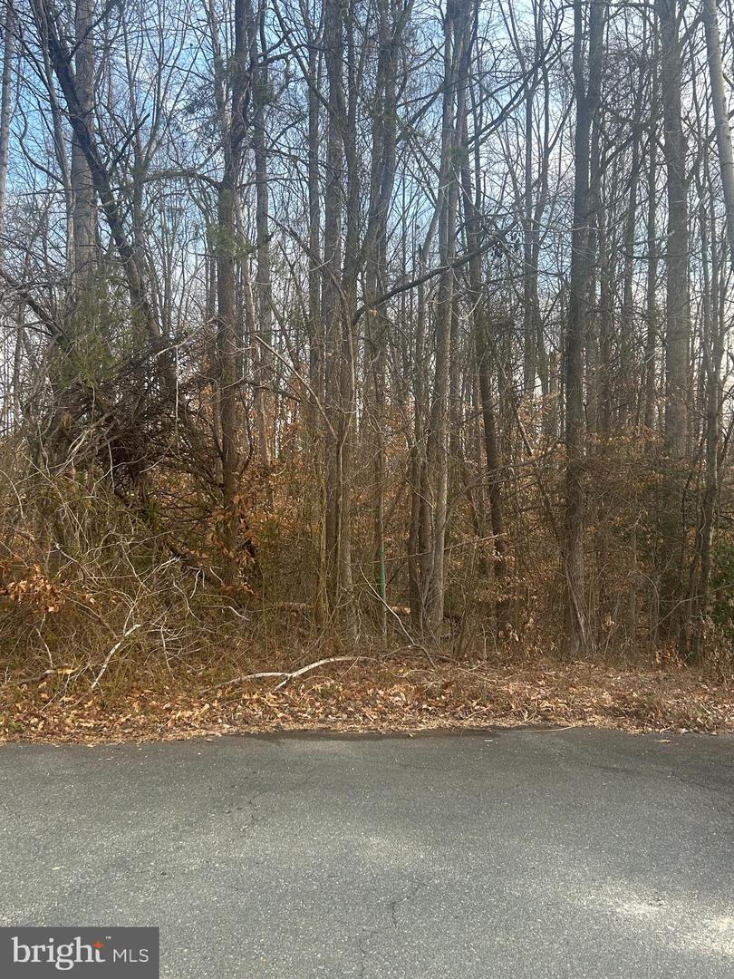 6700 REINDEER COURT Property Photo 1