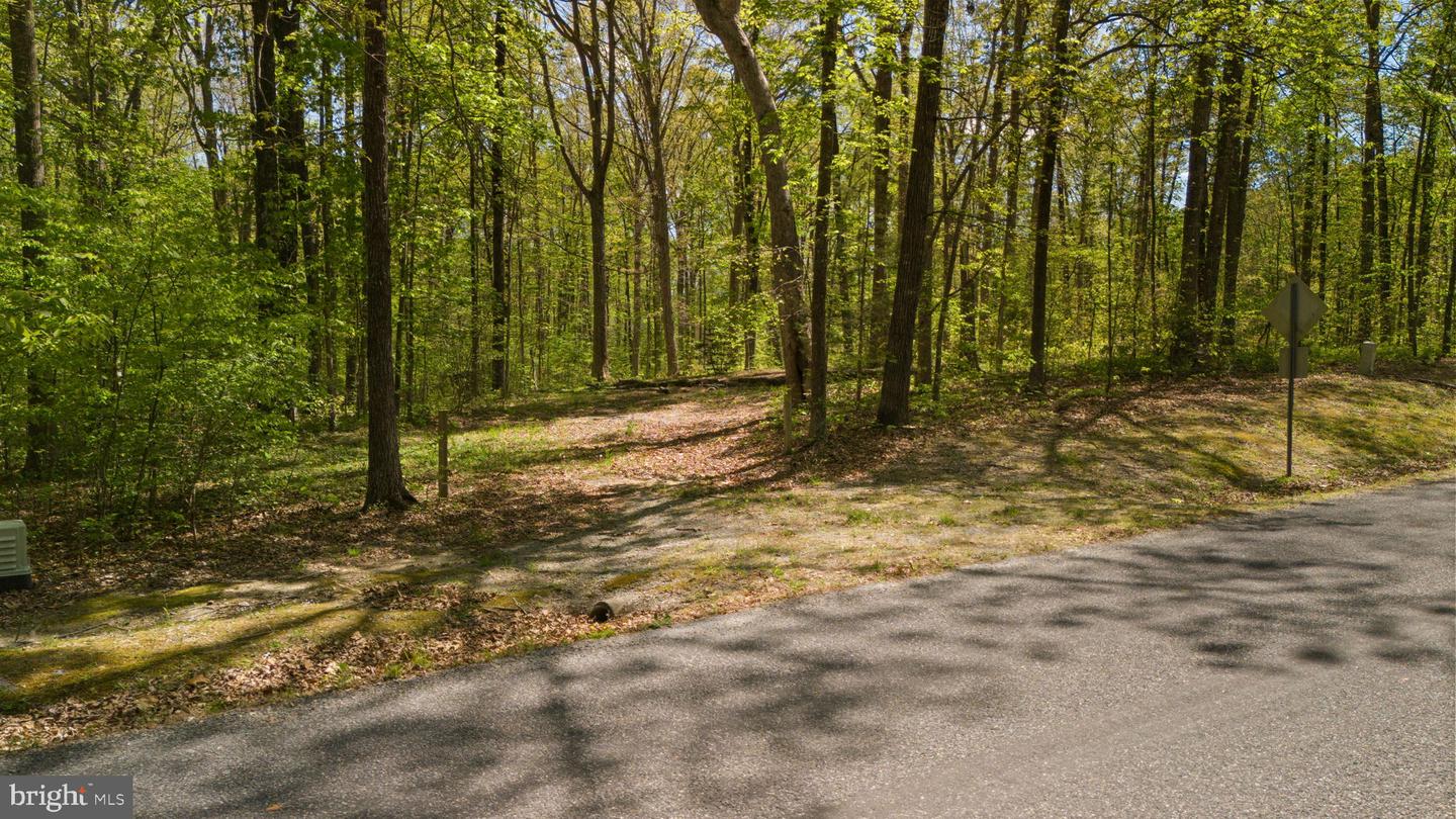 2937 Blount Dr Property Photo 6