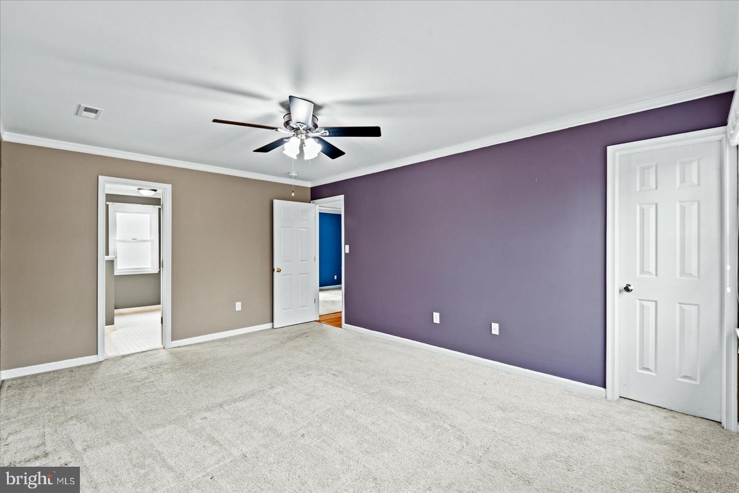 4204 Saint Catherines Ct Property Photo 23