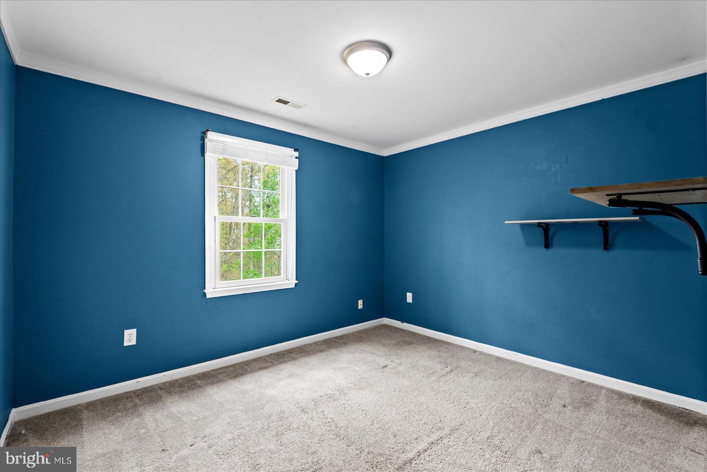 4204 Saint Catherines Ct Property Photo 30