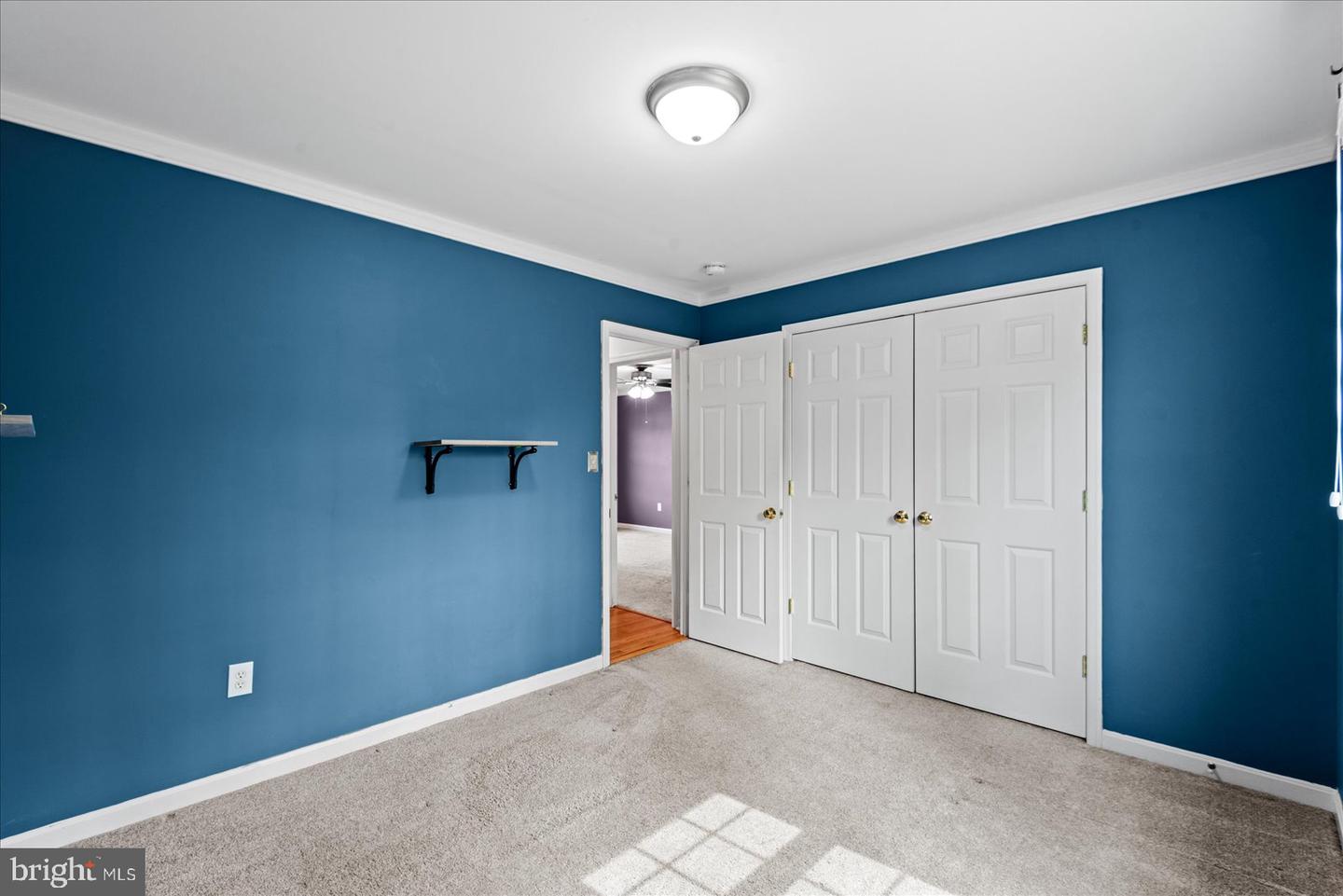 4204 Saint Catherines Ct Property Photo 31