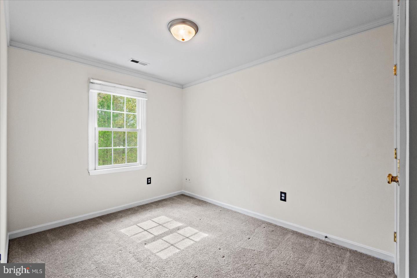 4204 Saint Catherines Ct Property Photo 33