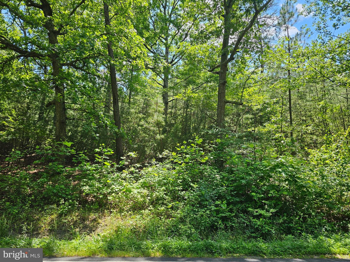 0 Mt Olive Rd Property Photo 1