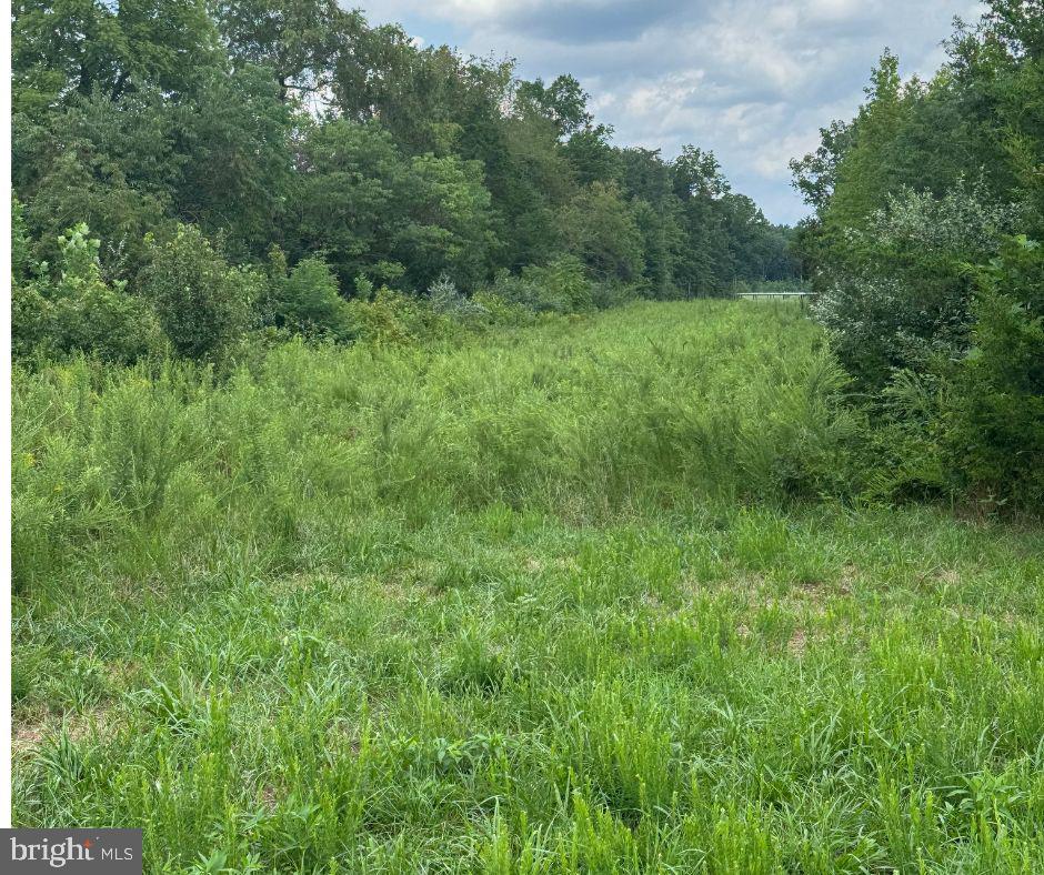 Off Post Oak Rd #lot1 Property Photo 1