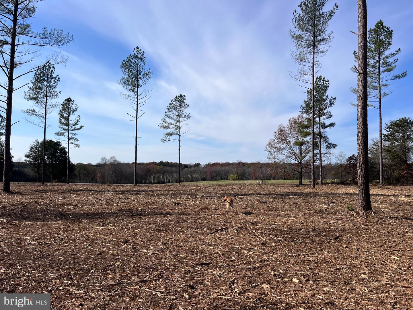 2 Lawyers Rd Tract 3 Property Photo 4