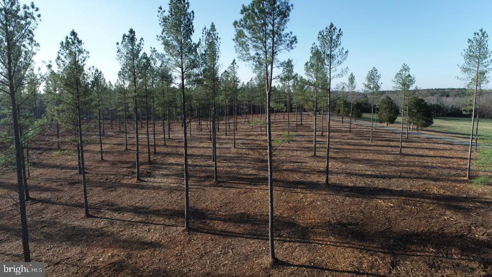 2 Lawyers Rd Tract 3 Property Photo 9